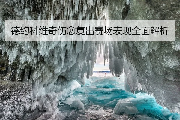 德约科维奇伤愈复出赛场表现全面解析
